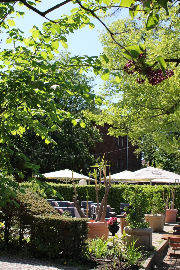 Unser Biergarten blüht im schönsten grün